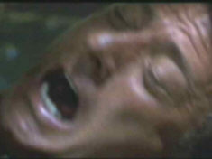 Norman : a real laid back, together kinda guy.