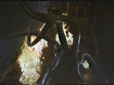 Well, why would the Beast want to let go of th- Oh, yeah.