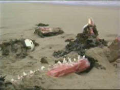 Yep. Clearly the work of a chainsaw upon a whale ...