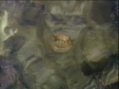 ... but War of the Gargantuas delivers.