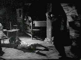 Boy, some days it doesnt pay to get out of bed!