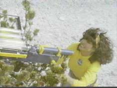 Auric Goldfinger and his laser?  Hugo Drax and his deadly virus?  No, James Bond’s deadliest foe had to be Sabrina and her banana gun