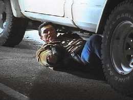 "Let's see -- if the bats only approach from three to five inches off the ground, within the 20 degree angle in which I can move my arm, and if they number less than the nine bullets I have in my gun, then I should be OK."