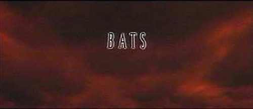 Bats