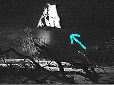 The comet’s spectacular crash to Earth!