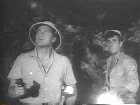 "Look, something I’ve never seen before! Quick, shoot it!!"