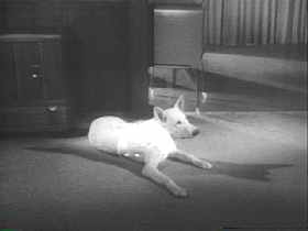 Vol grumbles upon learning he has to fly coach.