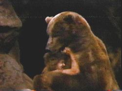 My god, Captain Kangeroo! That’s not Dancing Bear!