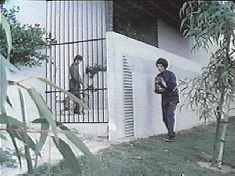 Spy Chick is here to deliver the ‘cats-up’ the guard ordered.