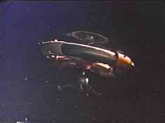 I’m starting to see a pattern of sorts here.