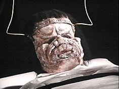 Not exactly erasing our memories of Boris Karloff.