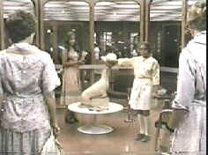 No one had the heart to tell Sandra her pet seal was just a statue, and would never learn to do tricks