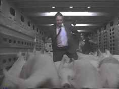 With their appearance in Fair Game, these pigs gain membership in the Hall of Embarrassed Actors.