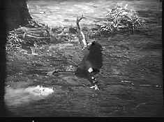 C’mon, once they established the quicksand pit, you knew that *somebody* was going to get tossed into it.