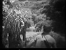 If terror has a name, its... Tabonga!