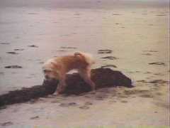 Melvin the Film Critic gives the movie his trademark "One Leg Up."