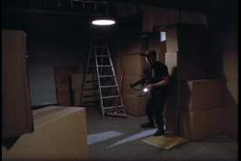 "OHMYGOD!! BOXES!! BOXES!! MILLIONSOFBOXES!!"