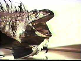 The Jabootu website is not responsible for any fear-related deaths or derangements caused by viewing this picture. 