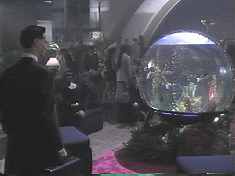 This Spherical Fish Tank joins the Nut ‘o’ Fun in the Hall of Objects that Distracted Us during Really Bad Movies.