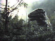 The T-Rex sneaks up on the ‘world’s greatest tracker.’