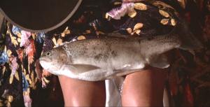 Boy, these new feminine hygiene commercials aren't very subtle.