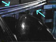 Nick the Whale smashes some conveniently placed fuel pipes...