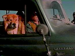 Hey, my Uncle Doug has a dog that looks just like that. Her name is Sonja, and...oh. Sorry, was I rambling?