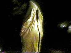 A boy attempts to use his bright yellow sleeping bag to blend into the woods and escape.