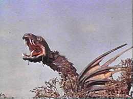 Ladies and Gentleman, the star of our show!