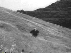 "My heart wants to beat like the wings of the birds that rise from the lake to the trees.  My heart wants to..."