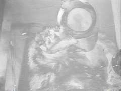 You can tell that The Great One is using his powers, because the screens gone to negative.