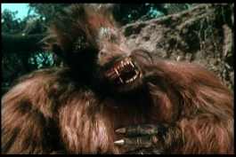 As any zoologist could tell you, this is a giant sloth.