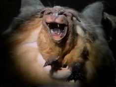 Third stage: ‘Rat’ Puppet emerges from the Cat Puppet’s mouth.