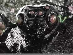 Oh, oh. Better call Orkin! (Sorry, I’m tired and that’s all I can come up with now.) 