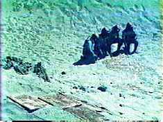 Don't follow the yellow brick road!